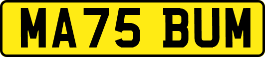 MA75BUM