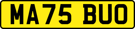 MA75BUO