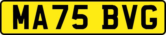 MA75BVG