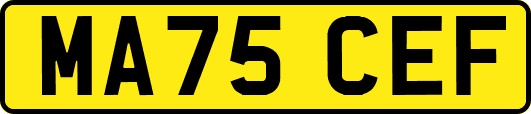 MA75CEF