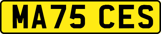 MA75CES