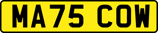 MA75COW