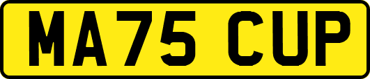 MA75CUP