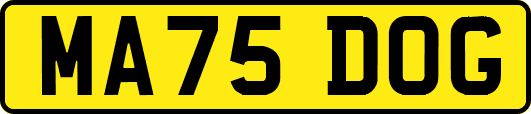 MA75DOG