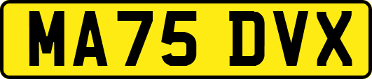 MA75DVX