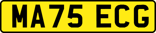 MA75ECG