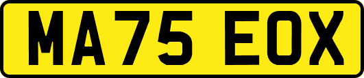 MA75EOX
