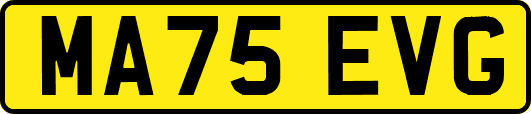 MA75EVG