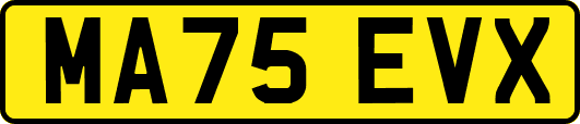 MA75EVX