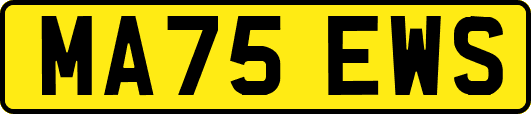 MA75EWS