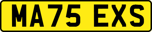 MA75EXS