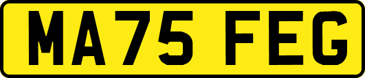 MA75FEG