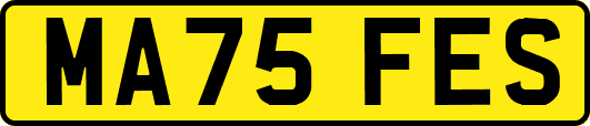 MA75FES