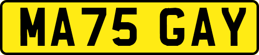 MA75GAY
