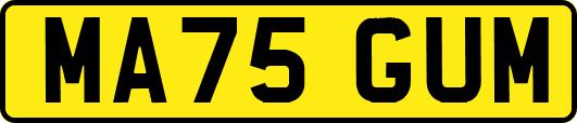 MA75GUM