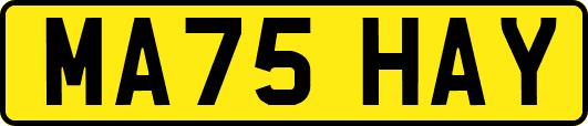MA75HAY