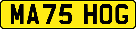 MA75HOG