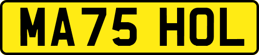 MA75HOL