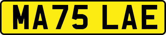 MA75LAE