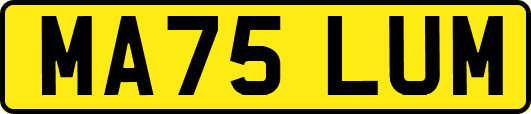 MA75LUM