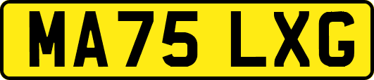 MA75LXG