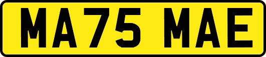 MA75MAE
