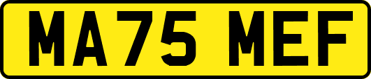 MA75MEF