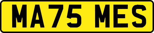 MA75MES