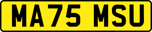 MA75MSU