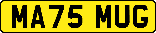 MA75MUG