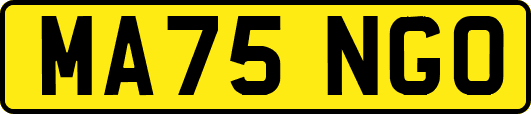 MA75NGO