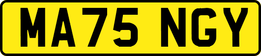 MA75NGY