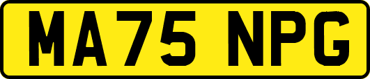 MA75NPG