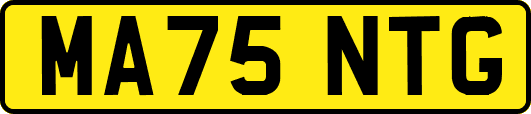 MA75NTG