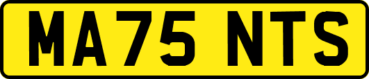 MA75NTS