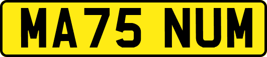 MA75NUM
