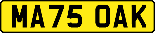 MA75OAK