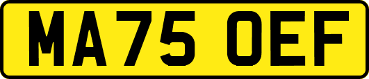 MA75OEF