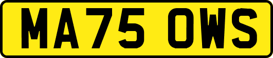MA75OWS
