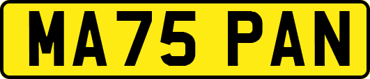 MA75PAN