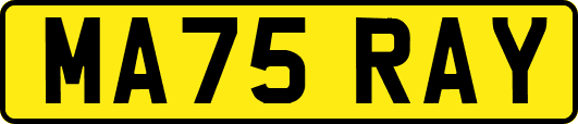 MA75RAY