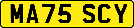 MA75SCY