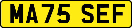 MA75SEF
