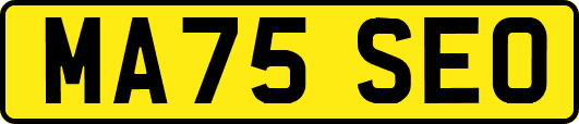 MA75SEO