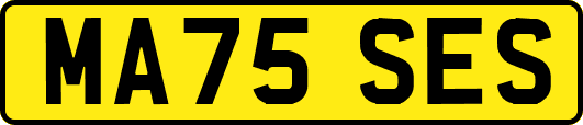 MA75SES