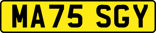MA75SGY