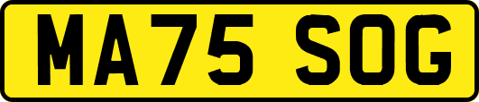 MA75SOG
