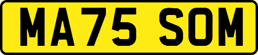 MA75SOM