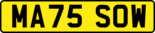 MA75SOW