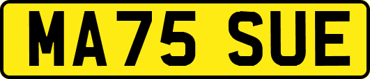MA75SUE